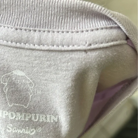 Pompompurin T- shirt,  skateboard  Size XS - Picture 4 of 5